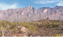 Desert2.gif (22212 bytes)